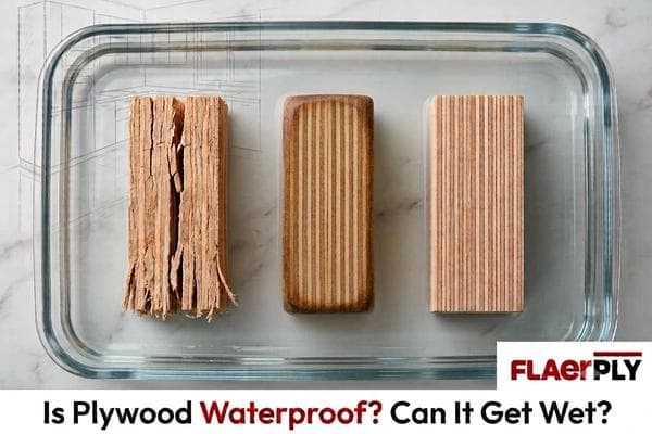 Is Plywood Waterproof? Can It Get Wet? — FlaerPly Masterclass